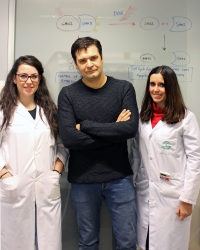 Marco Antonio Calzado, junto a dos compaeras del grupo de Inflamacin y Cncer