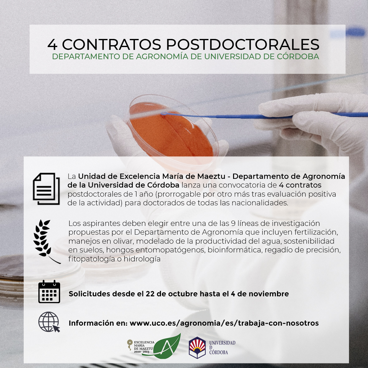 contratos postdoc