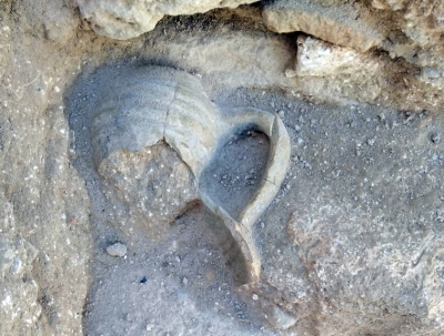 Localizadas cuatro nuevas estancias y diversos objetos en el castillo de Montemayor.